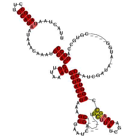 secondary structure