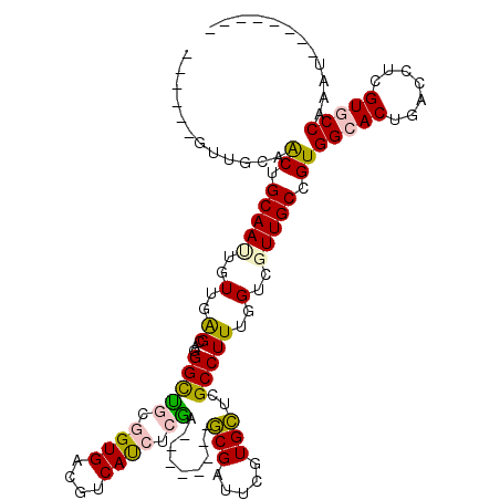 secondary structure