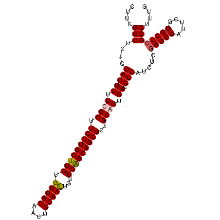 secondary structure
