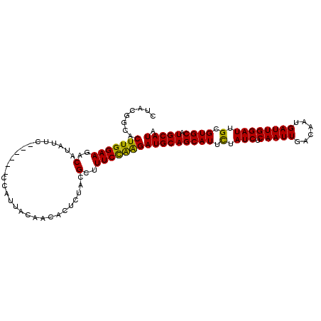 secondary structure