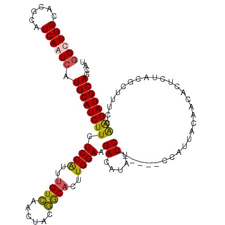 secondary structure