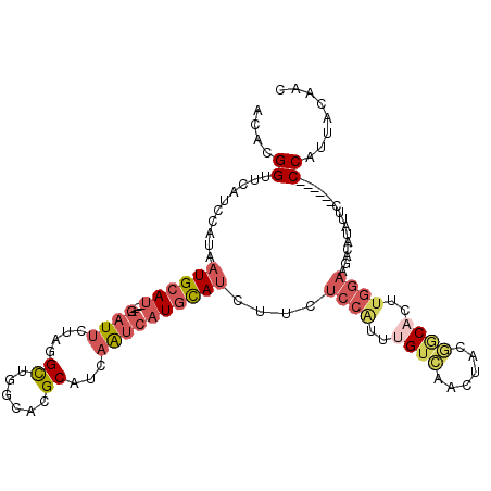 secondary structure