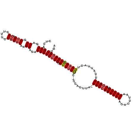 secondary structure