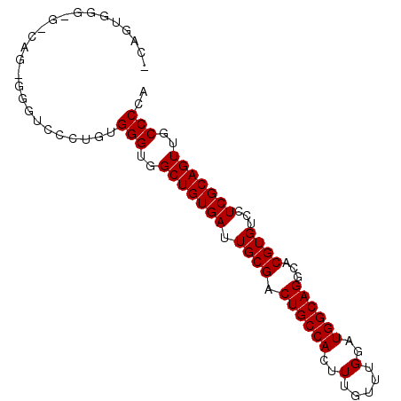 secondary structure