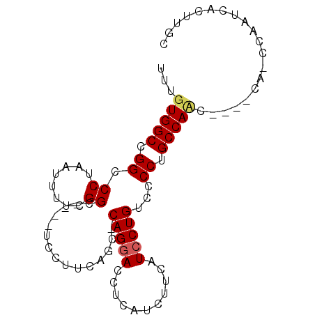 secondary structure