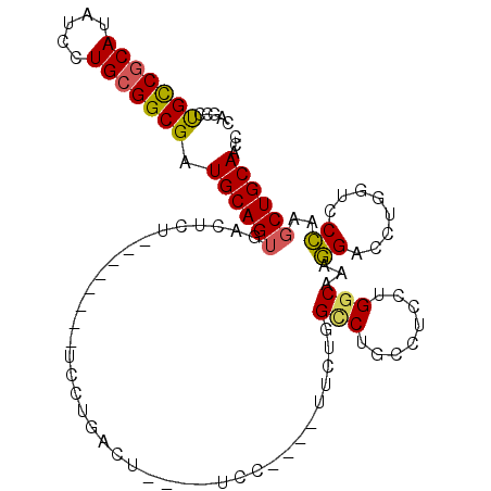 secondary structure