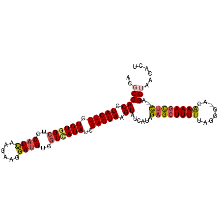 secondary structure