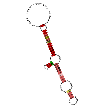 secondary structure