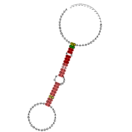 secondary structure