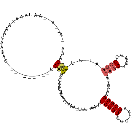 secondary structure