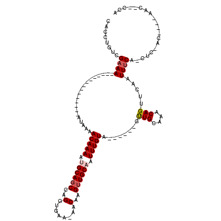 secondary structure
