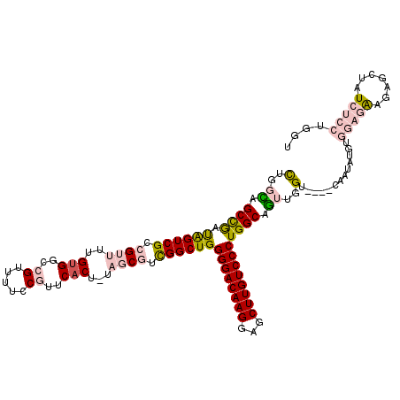 secondary structure