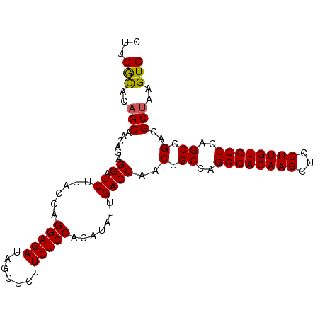 secondary structure