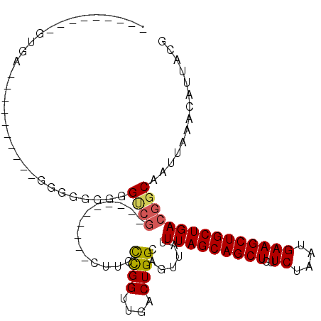 secondary structure