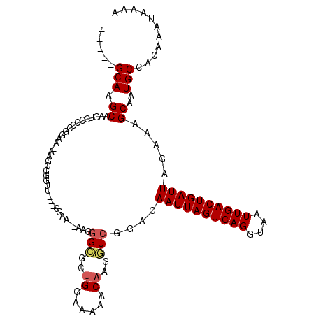secondary structure