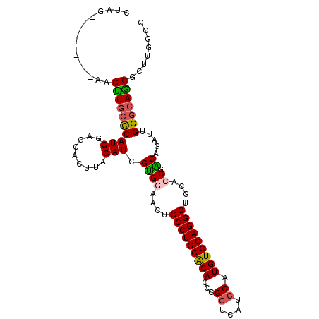 secondary structure