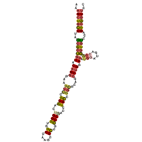 secondary structure