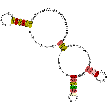 secondary structure