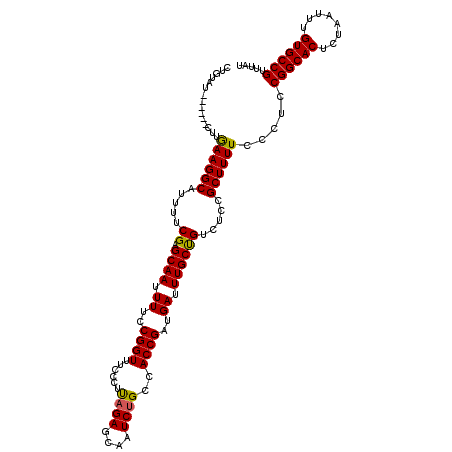 secondary structure