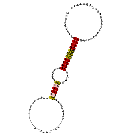 secondary structure