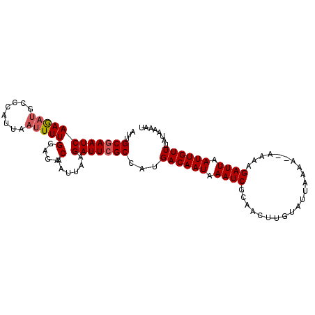secondary structure