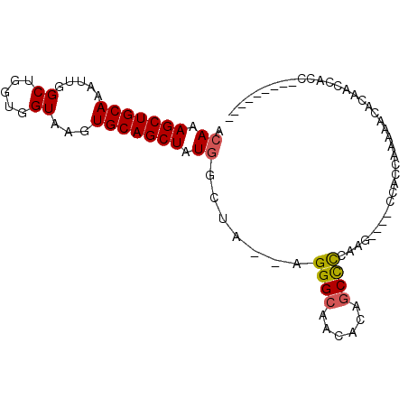 secondary structure