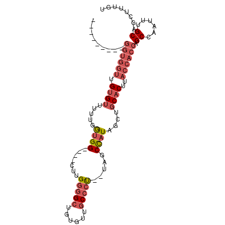 secondary structure