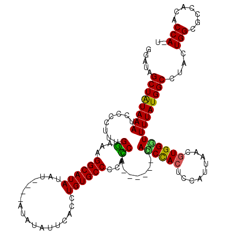 secondary structure