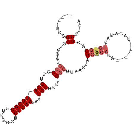 secondary structure