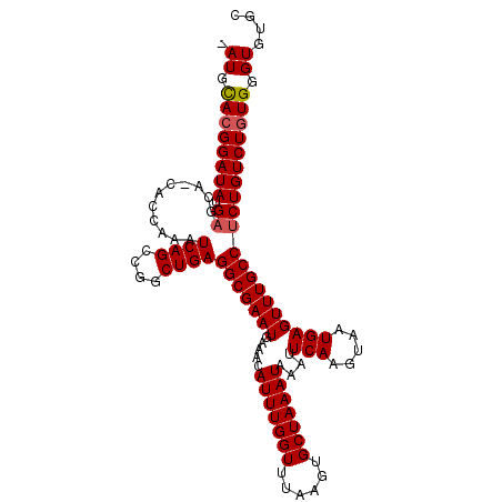 secondary structure