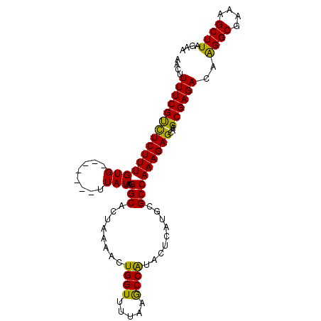 secondary structure