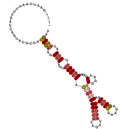 secondary structure