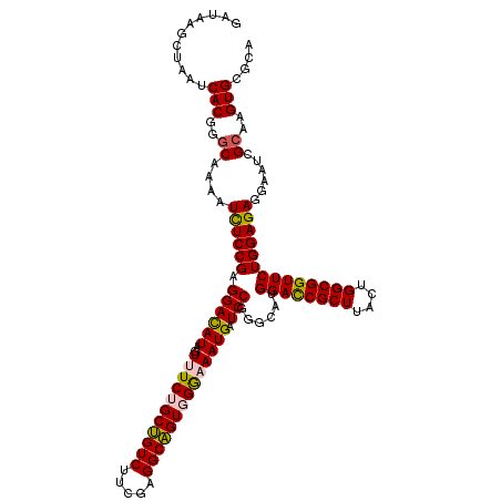 secondary structure
