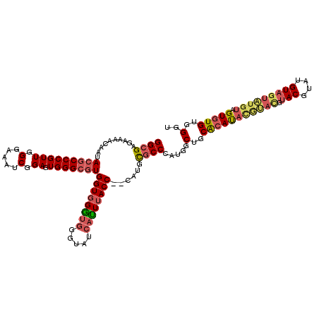 secondary structure