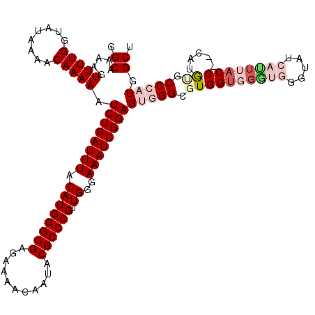 secondary structure