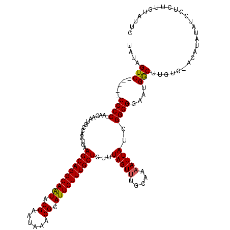 secondary structure