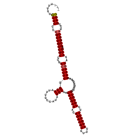 secondary structure
