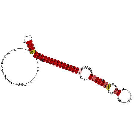 secondary structure