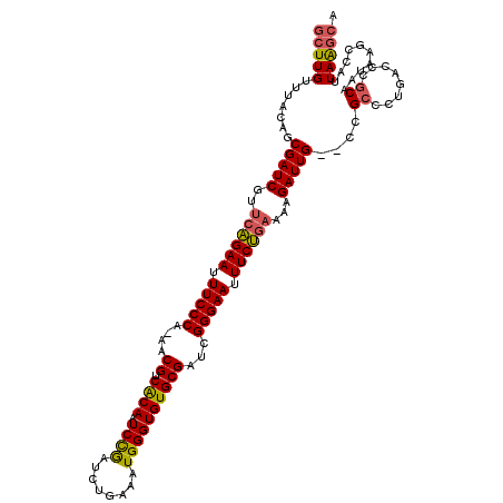 secondary structure