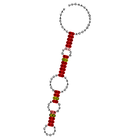 secondary structure