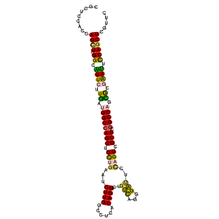 secondary structure