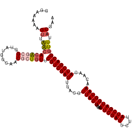 secondary structure