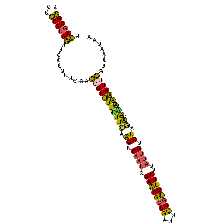 secondary structure