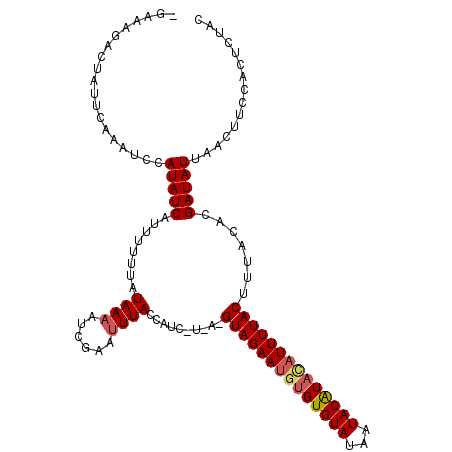 secondary structure