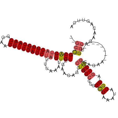secondary structure