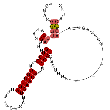 secondary structure