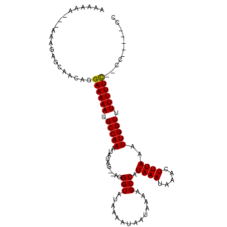 secondary structure
