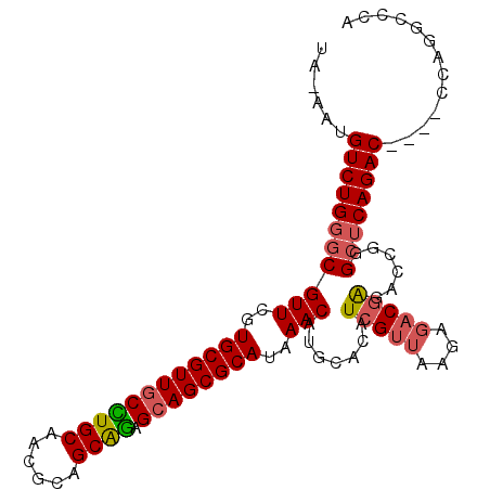 secondary structure