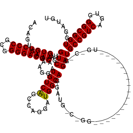 secondary structure
