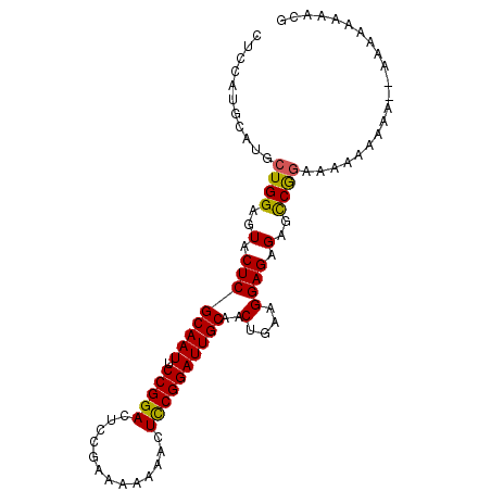 secondary structure